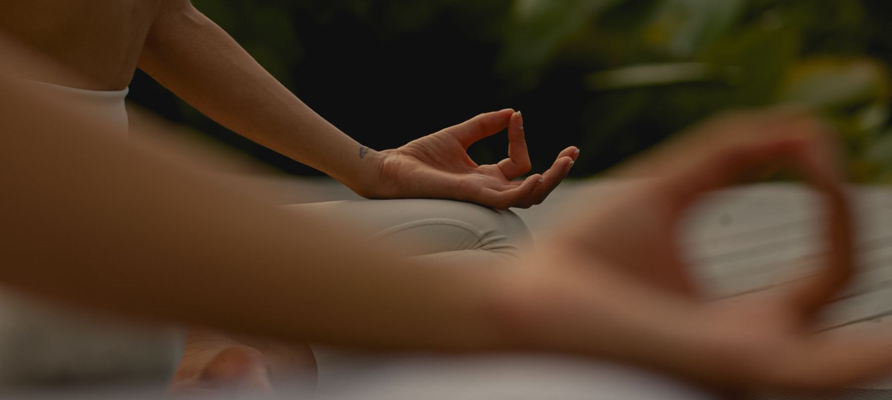 Disconnect to Reconnect