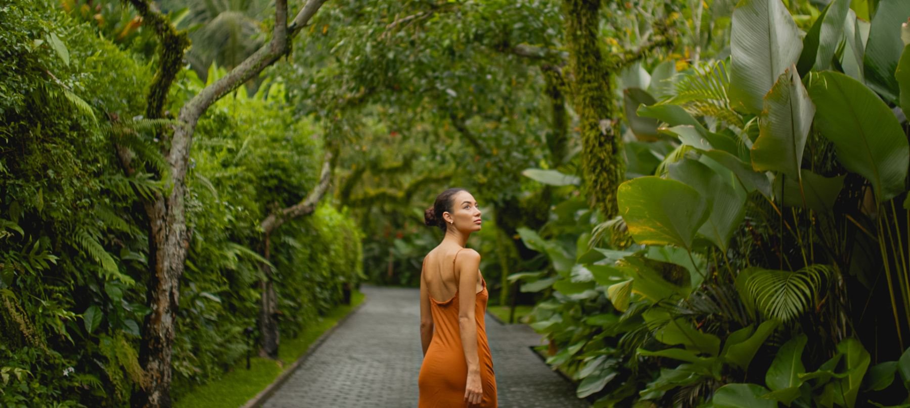 Disconnect to Reconnect